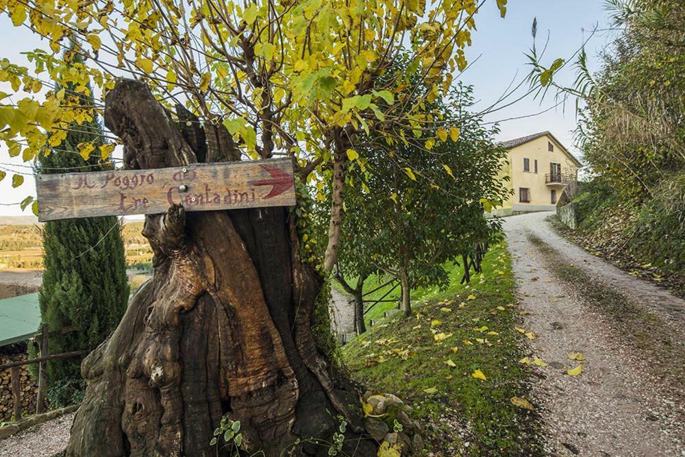 הוילה Ponte Felcino Il Poggio Dei Tre Contadini מראה חיצוני תמונה